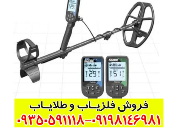 فلزیاب دابل اسکور