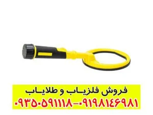 پین پوینتر پالس دایو