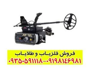 فلزیاب گلدن سنس