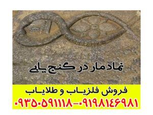 نماد مار در گنج یابی