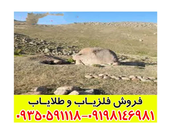 نشانه موش در دفینه یابی