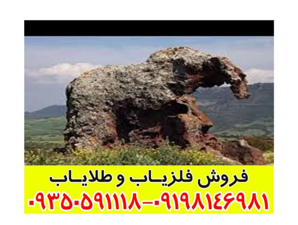 نماد فیل در گنج یابی
