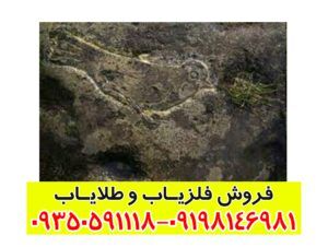 نماد پرنده در دفینه یابی