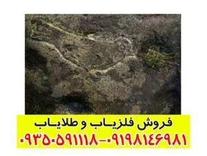 نماد پرنده در دفینه یابی