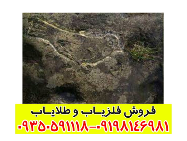 نماد پرنده در دفینه یابی