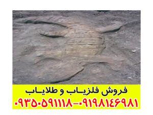 نماد تمساح در دفینه یابی