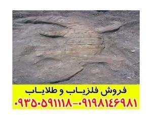 نماد تمساح در دفینه یابی