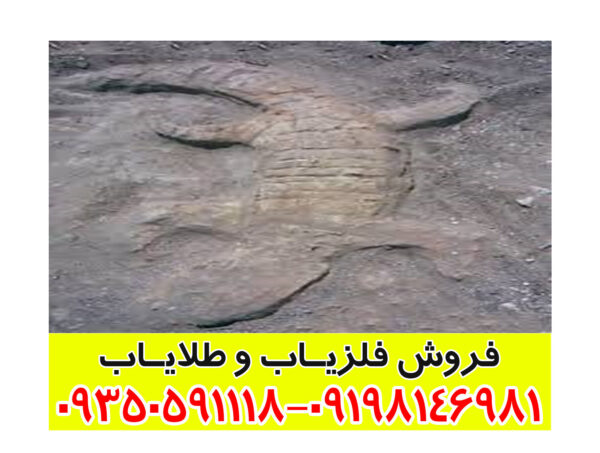 نماد تمساح در دفینه یابی