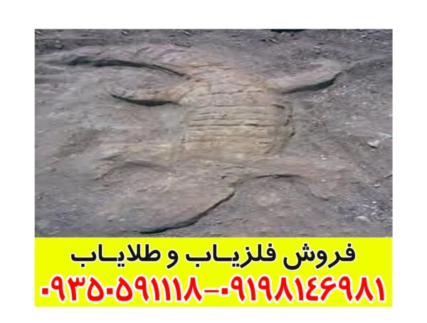 نماد تمساح در دفینه یابی