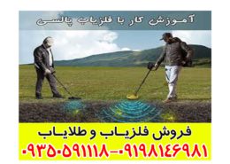 فلزیاب پالسی