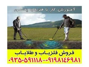 فلزیاب پالسی