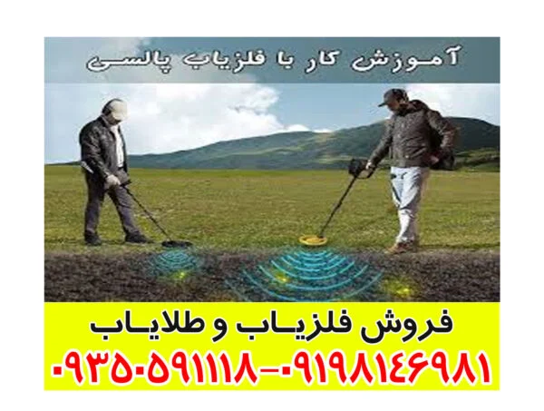 فلزیاب پالسی