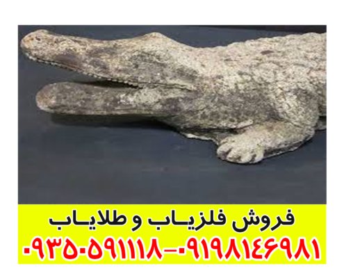 نماد تمساح در دفینه یابی
