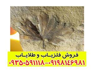 نماد گل در گنج یابی