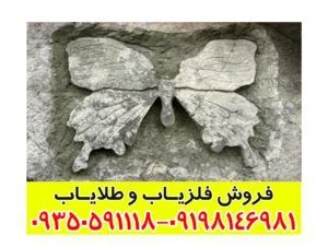 تفسیر علامت پروانه در گنج یابی