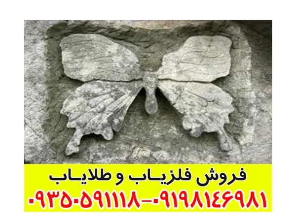 تفسیر علامت پروانه در گنج یابی
