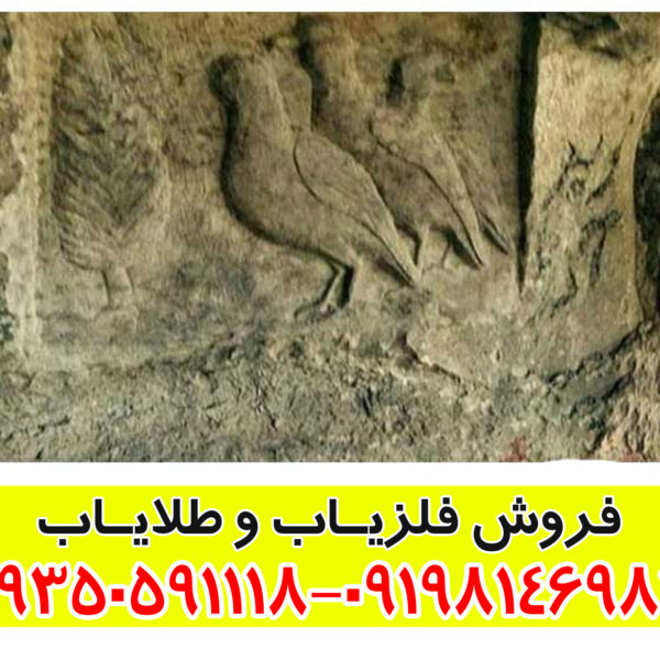 نماد پرنده در دفینهیابی: راهنمای جامع برای تشخیص مسیرها و نشانههای گنج