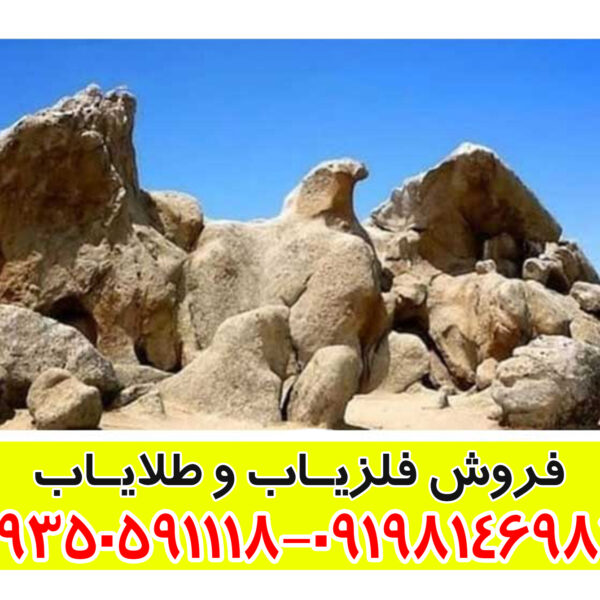 نماد پرنده در دفینهیابی: راهنمای جامع برای تشخیص مسیرها و نشانههای گنج