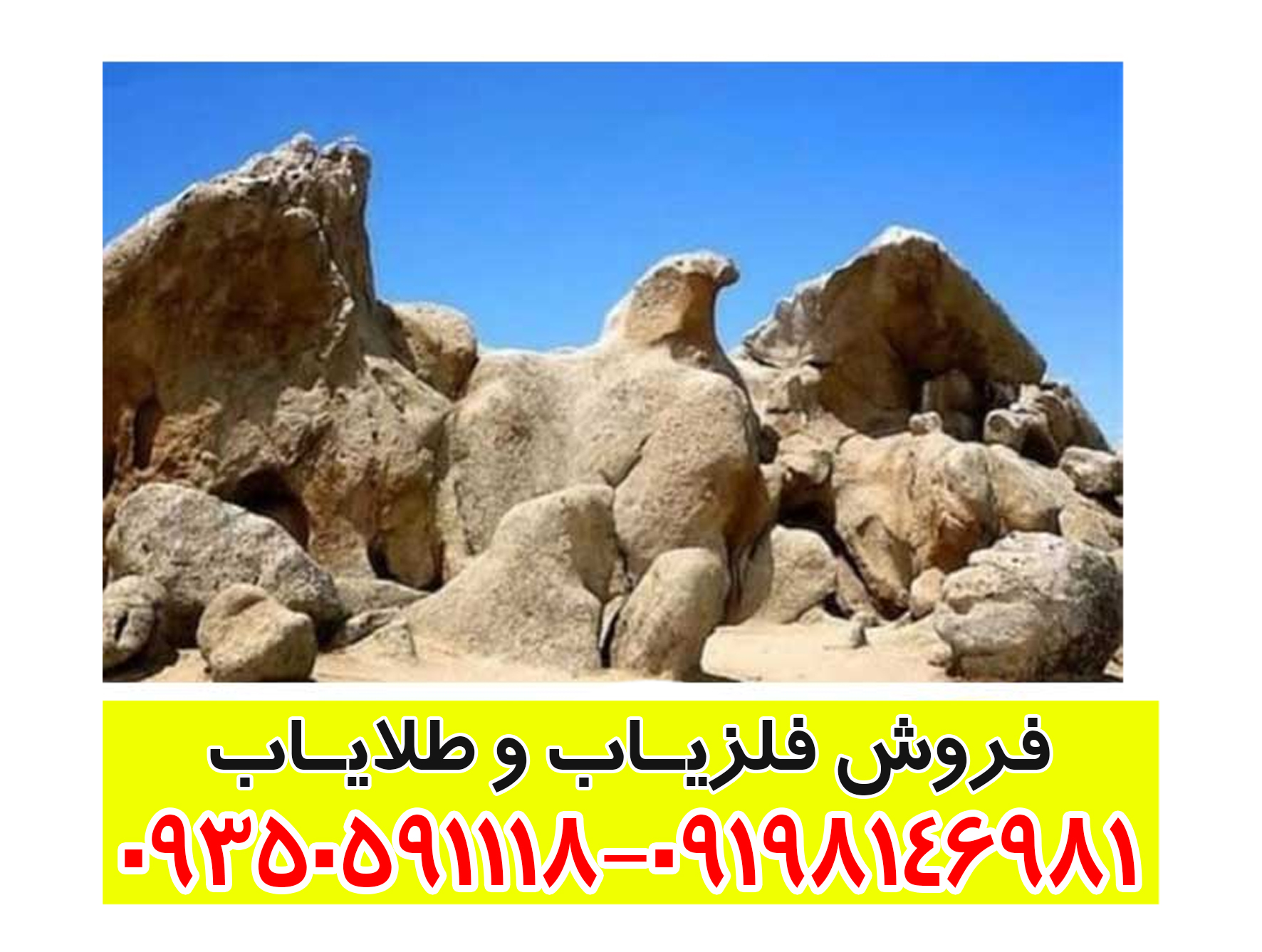 نماد پرنده در دفینهیابی: راهنمای جامع برای تشخیص مسیرها و نشانههای گنج