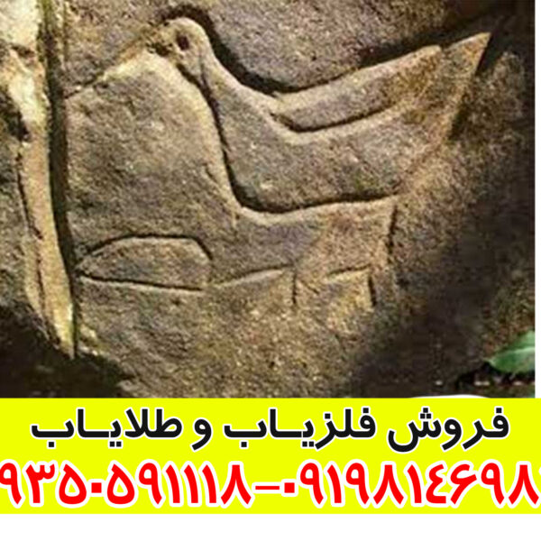 نماد پرنده در دفینهیابی: راهنمای جامع برای تشخیص مسیرها و نشانههای گنج