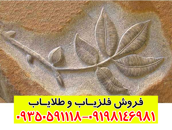 نماد گل در گنج یابی؛ بررسی معنی، نشانهها و روش تفسیر