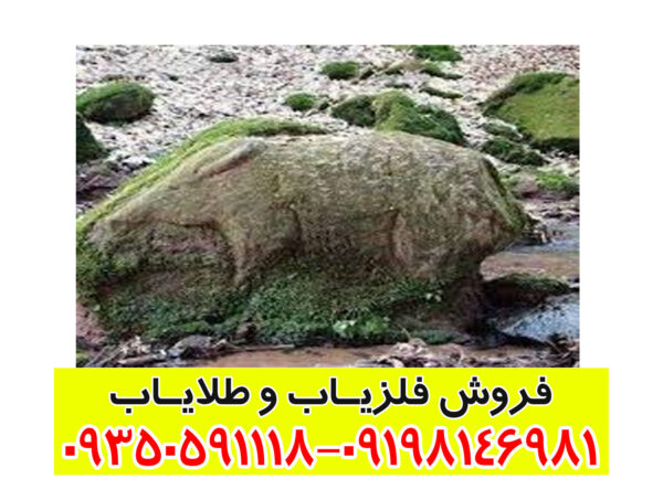 نماد خوک در دفینه
