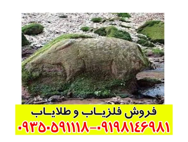 نماد خوک در دفینه