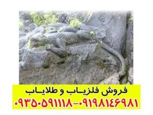 نماد حیوانات تخم گذاردر دفینه