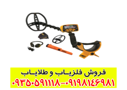 فلزیاب Garrett ACE 400