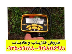 فلزیاب Garrett ACE 400