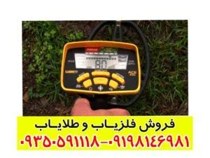 فلزیاب Garrett ACE 400