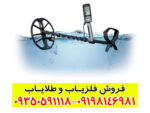 فلزیاب minelab equinox 800