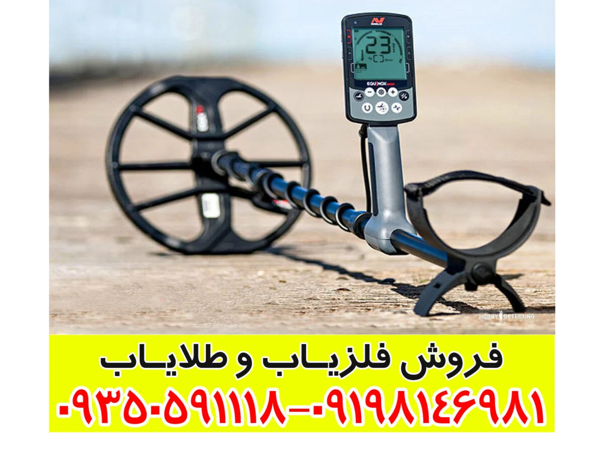  فلزیاب minelab equinox 800 