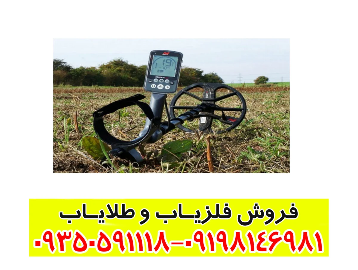  فلزیاب minelab equinox 800 