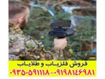 ردیاب بیونیک ایکس 4