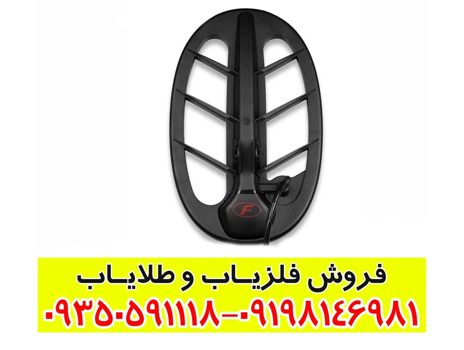 فلزیاب فیشر F22