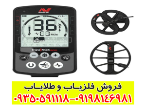 فلزیاب اکوناکس800