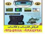 فلزیاب تصویری دیانا