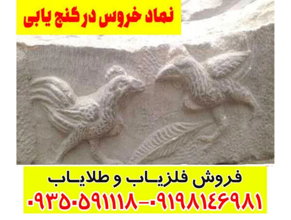 نماد خروس در دفینه یابی