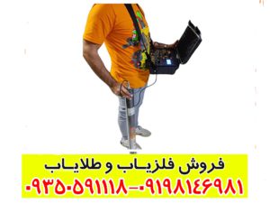 فلزیاب ایمیجر 25000