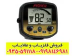 فلزیاب بوقی فیشر گلد باگ