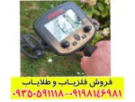 فلزیاب بوقی فیشر گلد باگ
