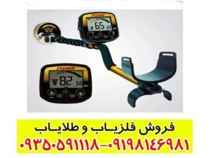 فلزیاب بوقی فیشر گلد باگ