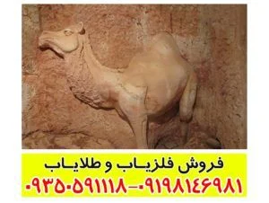 نماد شتر در دفینه یابی