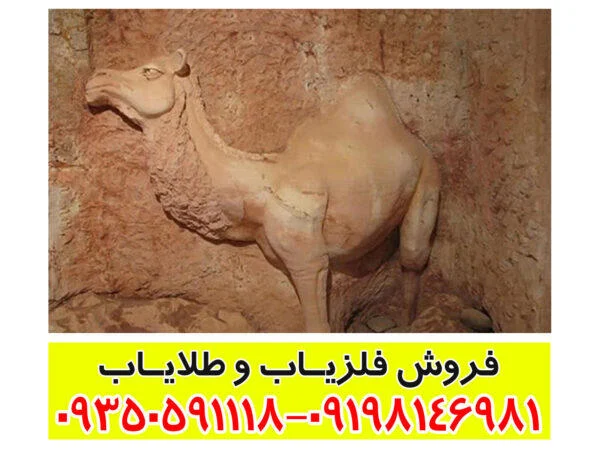 نماد شتر در دفینه یابی