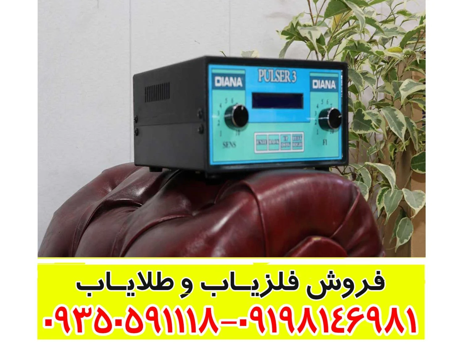 فلزیاب دیانا