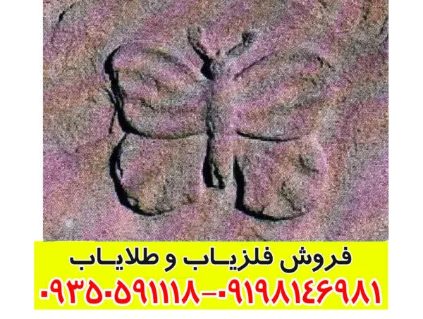تفسیر علامت پروانه در گنج یابی
