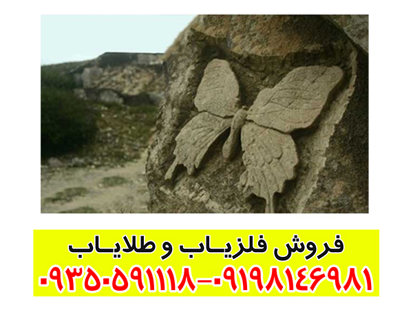 تفسیر علامت پروانه در گنج یابی؛ بررسی معنی، نشانهها و روش تحلیل