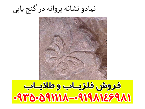 تفسیر علامت پروانه در گنج یابی؛ بررسی معنی، نشانهها و روش تحلیل