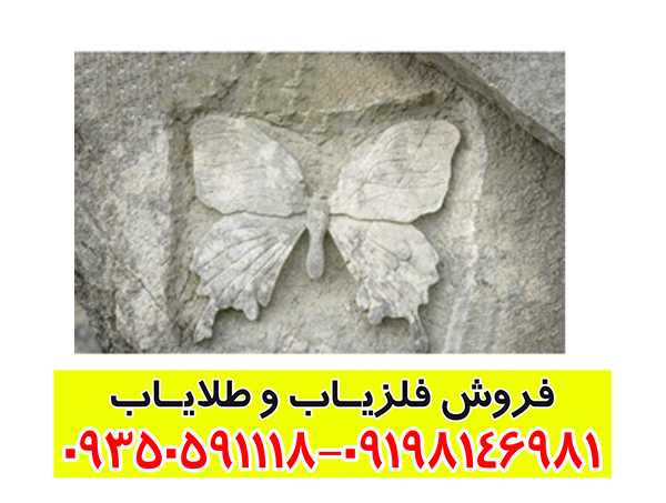 تفسیر علامت پروانه در گنج یابی؛ بررسی معنی، نشانهها و روش تحلیل